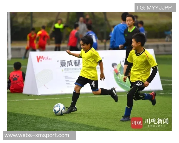 追逐梦想的绿茵场上足球小将们的热血与友情交织的旋律